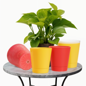 Self Watering Planter (Pack of 5)
